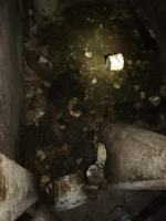 Pies cierpiał katusze. Trzymany był w oborze na łańcuchu