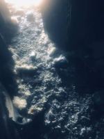 Czteroosobowa rodzina straciła cały dobytek podczas pożaru na Walecki. 22-latek w śpiączce