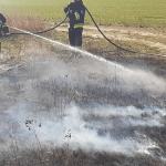 Strażacy coraz częściej interweniują przy pożarach traw 