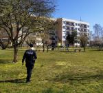 Policjanci egzekwują przepisy związane z epidemią 