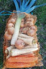 E-Warzywniak dostarczy świeże warzywa prosto do domu