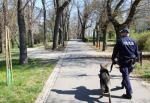 Nowy pies w służbie brzeskiej policji