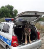 Po 7 latach służby, Hordo odszedł na zasłużoną emeryturę