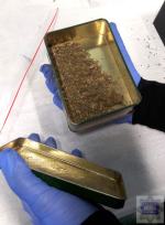 Policja zlikwidowała plantacje marihuany w domu 50-latka