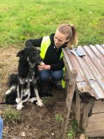 Suczka z młodymi przywiązana do budy na środku pola. Interwencja TOZ