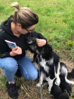 Suczka z młodymi przywiązana do budy na środku pola. Interwencja TOZ