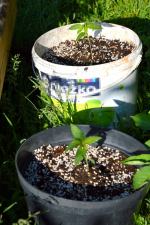 Pięciu mężczyzn zatrzymanych do spraw narkotykowych 