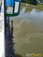 Odra zanieczyszczona farbą podczas prac na moście Sendlerowej