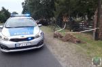 Kierujący audi ściął uliczną latarnię, ogrodzenie cmentarza i zatrzymał się na drzewie