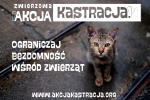 Ogranicz bezdomność zwierząt w swojej okolicy - Przyłącz się do ZWIERZowej Akcji Kastracja!