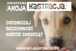 Ogranicz bezdomność zwierząt w swojej okolicy - Przyłącz się do ZWIERZowej Akcji Kastracja!