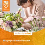 Czas wybrać kierunek dla siebie!