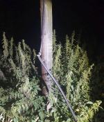 Kradli kable - wpadli na gorącym uczynku