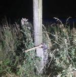 Kradli kable - wpadli na gorącym uczynku