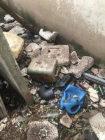 Pies był trzymany w komórce - wśród śmieci, odchodów i szkła