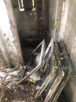 Pies był trzymany w komórce - wśród śmieci, odchodów i szkła