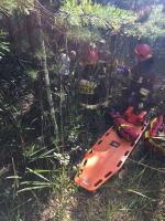 To grzybobranie mogło skończyć się tragicznie. Z pomocą ruszyli strażacy