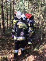 To grzybobranie mogło skończyć się tragicznie. Z pomocą ruszyli strażacy