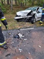 Wypadek na DW 463 Krasiejów - Kolonowskie