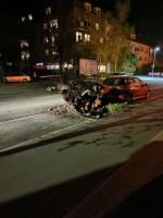 Ulica Oleska w Opolu: Duże drzewo runęło na ulicę