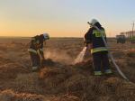 12 zastępów straży gasiło pożar chlewni w gminie Głogówek
