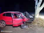 Kierowca stracił panowanie nad pojazdem i uderzył w drzewo. Niebezpiecznie na drogach