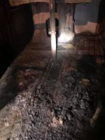 Dramat psów rozgrywał się na plebanii w gminie Grodków