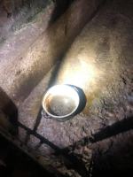 Dramat psów rozgrywał się na plebanii w gminie Grodków