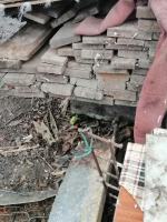 Tragiczne warunki zwierząt u gospodarza w Nysie. Martwe zwierzęta wyrzucał "za płot"