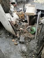 Tragiczne warunki zwierząt u gospodarza w Nysie. Martwe zwierzęta wyrzucał "za płot"