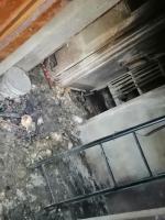 Tragiczne warunki zwierząt u gospodarza w Nysie. Martwe zwierzęta wyrzucał "za płot"