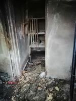 Tragiczne warunki zwierząt u gospodarza w Nysie. Martwe zwierzęta wyrzucał "za płot"