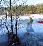 Lód na akwenie załamał się pod jeleniem. Interweniowali strażacy