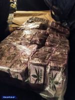 Akcja CBŚP w powiecie nyskim. Znaleziono 150 kg haszyszu