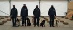 Jako pierwsze w Polsce pomogą w wykrywaniu COVID-19