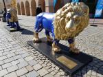 Dwa lwy przed ratuszem. Miasto rozpoczyna kampanię zachęcającą do odwiedzin zoo