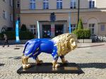 Dwa lwy przed ratuszem. Miasto rozpoczyna kampanię zachęcającą do odwiedzin zoo