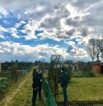 Policjanci kontrolują ogródki działkowe