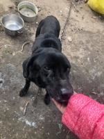 Kolejna ofiara ludzkiej bezduszności, obojętności i podłości