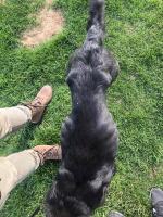 Kolejna ofiara ludzkiej bezduszności, obojętności i podłości