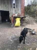 Kolejna ofiara ludzkiej bezduszności, obojętności i podłości