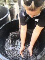 Wspólne patrole Policji i Społecznej Straży Rybackiej