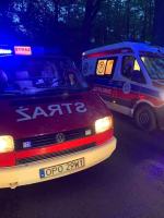 Wypadek pomiędzy Kadłubem Turawskim a Rzędowem. Samochód uderzył w drzewo 