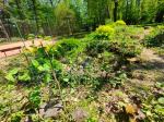 Zespół Szkół w Tułowicach zyska piękny park