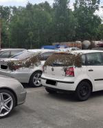 Nietypowe odwiedziny w Komendzie PSP w Kędzierzynie-Koźlu