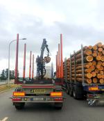 Przewóz drewna pod lupą WITD. Kontrole wykazały nieprawidłowości