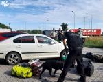 Funkcjonariusze KAS wykrywają próby nielegalnego przywozu narkotyków do kraju.