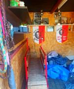 Miał organizować walki psów - areszt dla 41-latka