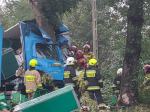 Kierowca ciężarówki uderzył w drzewo. Śmiertelny wypadek w Ujeździe