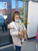 W Dobrzeniu Wielkim zasadzono jabłonie. W ten sposób uczczono "Dzień drzewa"